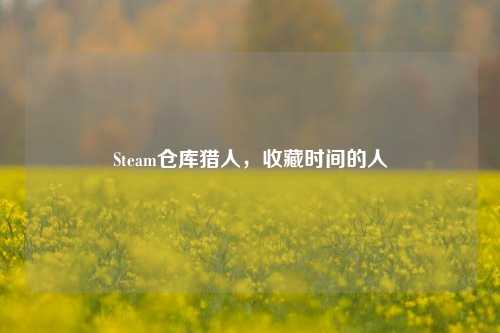 Steam仓库猎人,收藏时间的人