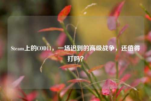 Steam上的COD11,一场迟到的高级战争,还值得打吗?