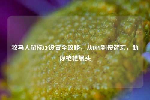 牧马人鼠标CF设置全攻略，从DPI到按键宏，助你枪枪爆头