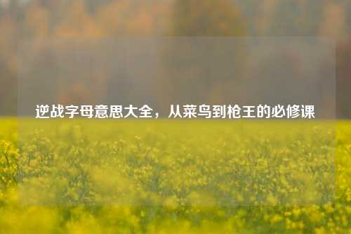 逆战字母意思大全,从菜鸟到枪王的必修课