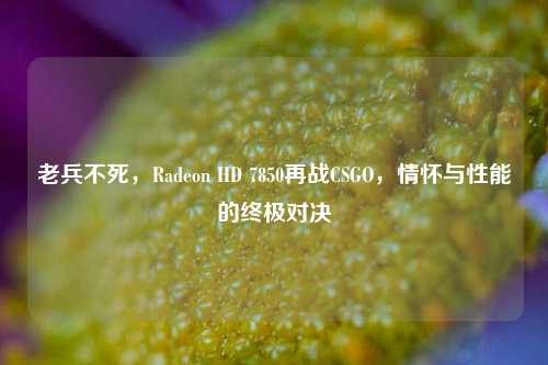 老兵不死，Radeon HD 7850再战CSGO，情怀与性能的终极对决