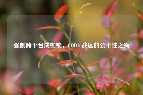 强制跨平台成枷锁，COD16战区的公平性之殇