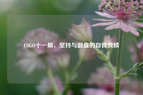CSGO十一局，坚持与翻盘的自我救赎
