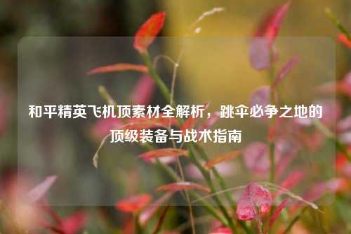 和平精英飞机顶素材全解析，跳伞必争之地的顶级装备与战术指南