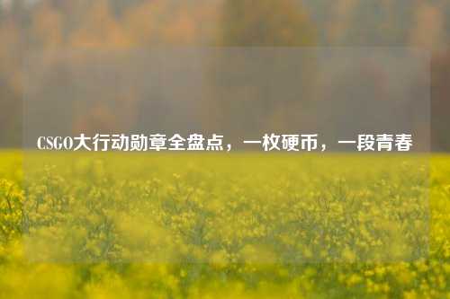 CSGO大行动勋章全盘点，一枚硬币，一段青春