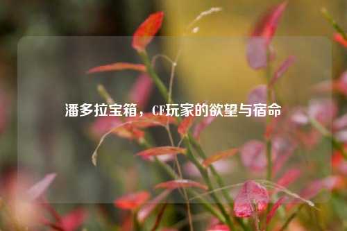 潘多拉宝箱,CF玩家的欲望与宿命