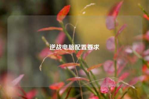 逆战电脑配置要求