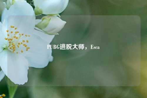 PUBG逃脱大师，Esca