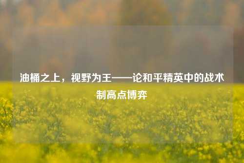 油桶之上,视野为王——论和平精英中的战术制高点博弈