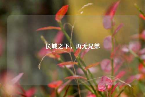 长城之下，再无兄弟