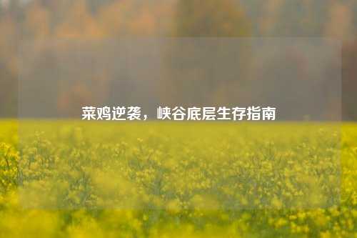菜鸡逆袭，峡谷底层生存指南
