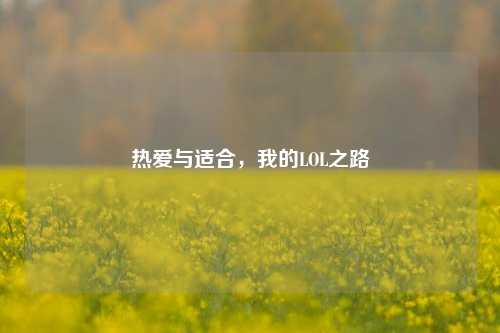 热爱与适合,我的LOL之路