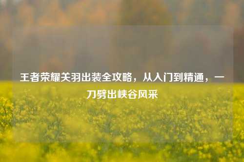 王者荣耀关羽出装全攻略，从入门到精通，一刀劈出峡谷风采