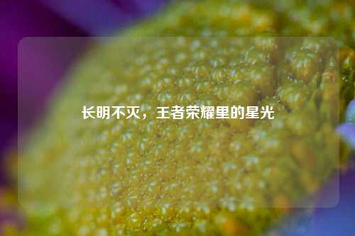 长明不灭，王者荣耀里的星光