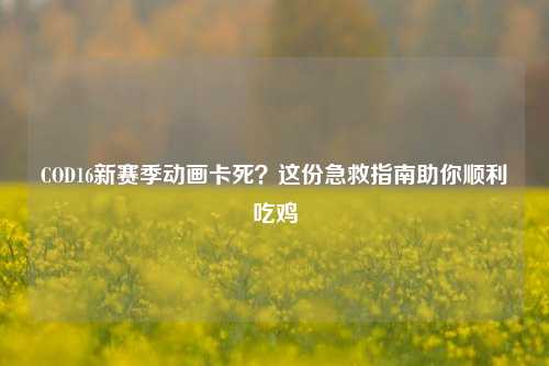 COD16新赛季动画卡死？这份急救指南助你顺利吃鸡