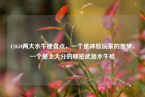 CSGO两大水牛梗盘点,一个是冲脸玩家的噩梦,一个是上大分的秘密武器水牛枪