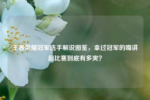 王者荣耀冠军选手解说图鉴,拿过冠军的嘴讲起比赛到底有多爽?