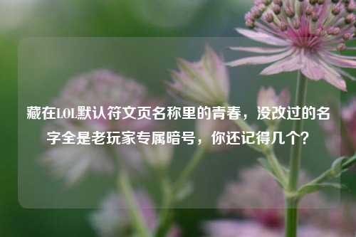 藏在LOL默认符文页名称里的青春，没改过的名字全是老玩家专属暗号，你还记得几个？