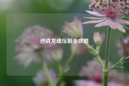 逆战龙魂压制全攻略