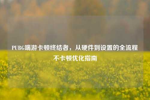 PUBG端游卡顿终结者，从硬件到设置的全流程不卡顿优化指南