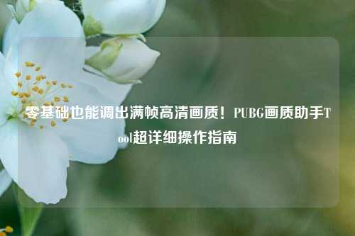零基础也能调出满帧高清画质！PUBG画质助手Tool超详细操作指南