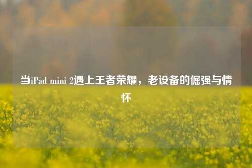 当iPad mini 2遇上王者荣耀，老设备的倔强与情怀