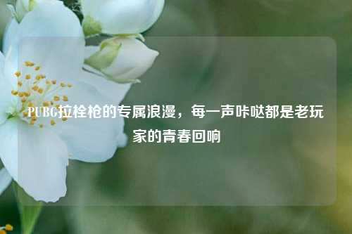 PUBG拉栓枪的专属浪漫，每一声咔哒都是老玩家的青春回响