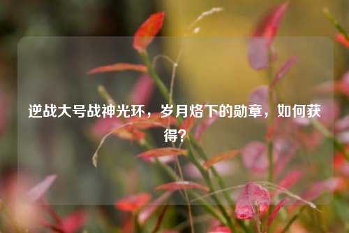 逆战大号战神光环,岁月烙下的勋章,如何获得?