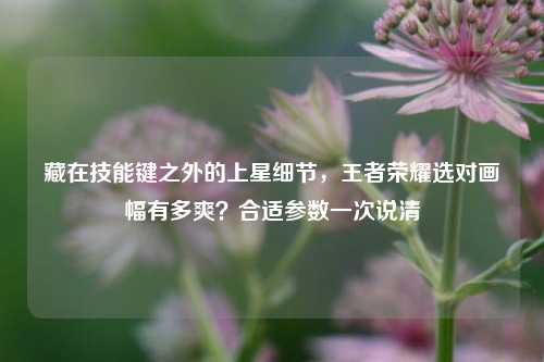 藏在技能键之外的上星细节，王者荣耀选对画幅有多爽？合适参数一次说清