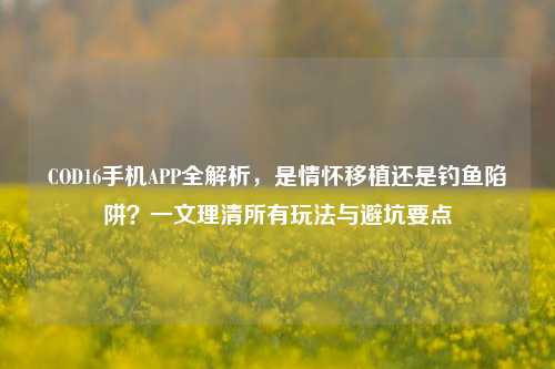 COD16手机APP全解析,是情怀移植还是钓鱼陷阱?一文理清所有玩法与避坑要点