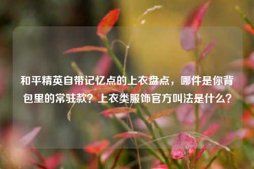 和平精英自带记忆点的上衣盘点,哪件是你背包里的常驻款?上衣类服饰官方叫法是什么?