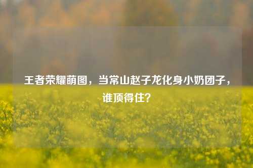 王者荣耀萌图,当常山赵子龙化身小奶团子,谁顶得住?