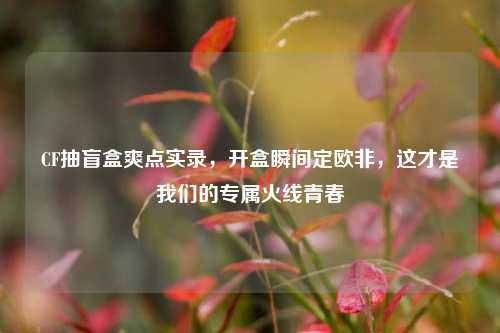 CF抽盲盒爽点实录，开盒瞬间定欧非，这才是我们的专属火线青春