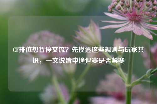 CF排位想暂停交流？先摸透这些规则与玩家共识，一文说清中途退赛是否禁赛