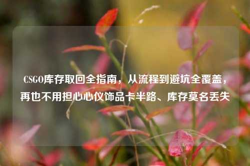 CSGO库存取回全指南,从流程到避坑全覆盖,再也不用担心心仪饰品卡半路、库存莫名丢失