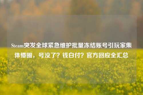 Steam突发全球紧急维护批量冻结账号引玩家集体懵圈，号没了？钱白付？官方回应全汇总