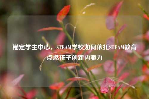 锚定学生中心，STEAM学校如何依托STEAM教育点燃孩子创新内驱力