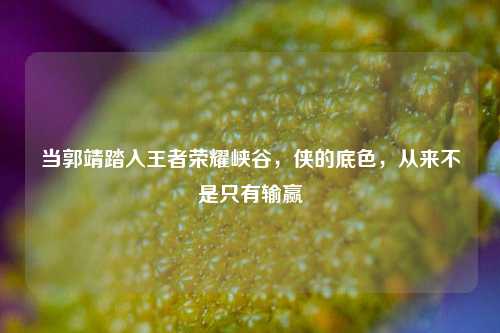 当郭靖踏入王者荣耀峡谷,侠的底色,从来不是只有输赢