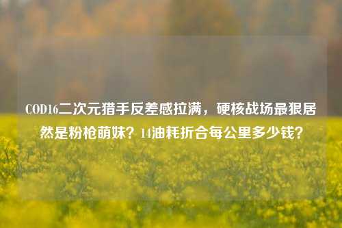 COD16二次元猎手反差感拉满,硬核战场最狠居然是粉枪萌妹?14油耗折合每公里多少钱?