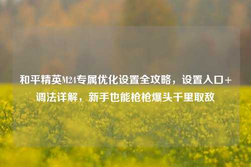 和平精英M24专属优化设置全攻略,设置入口+调法详解,新手也能枪枪爆头千里取敌
