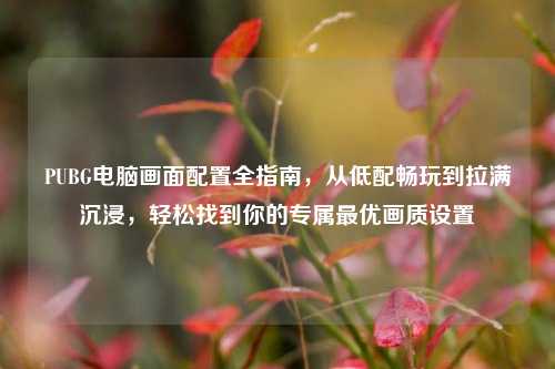 PUBG电脑画面配置全指南,从低配畅玩到拉满沉浸,轻松找到你的专属最优画质设置