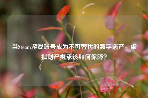 当Steam游戏账号成为不可替代的数字遗产,虚拟财产继承该如何保障?