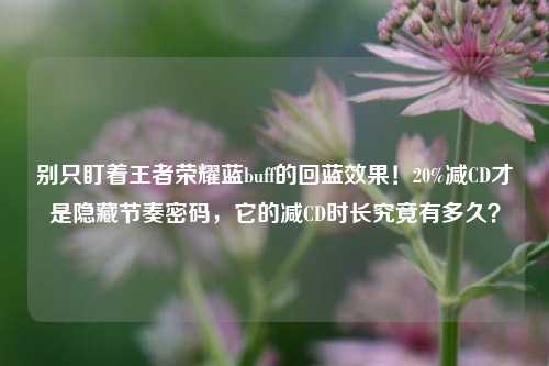别只盯着王者荣耀蓝buff的回蓝效果!20%减CD才是隐藏节奏密码,它的减CD时长究竟有多久?