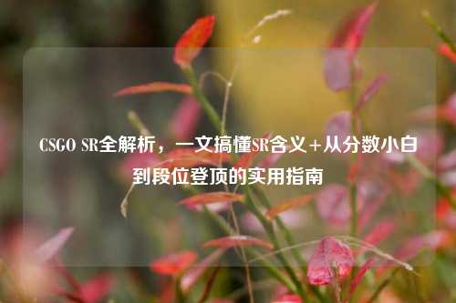 CSGO SR全解析,一文搞懂SR含义+从分数小白到段位登顶的实用指南