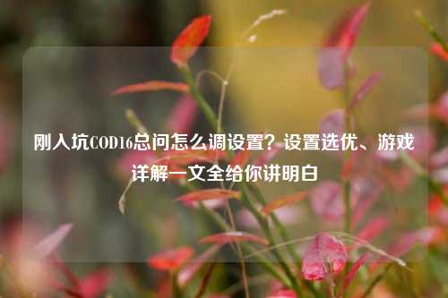 刚入坑COD16总问怎么调设置？设置选优、游戏详解一文全给你讲明白