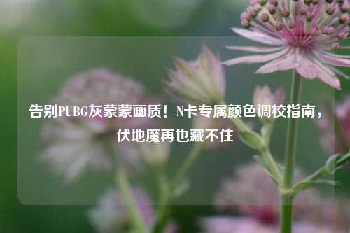 告别PUBG灰蒙蒙画质!N卡专属颜色调校指南,伏地魔再也藏不住