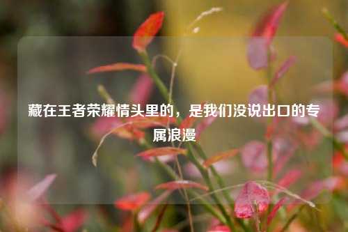 藏在王者荣耀情头里的,是我们没说出口的专属浪漫