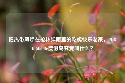 把热带风焊在枪林弹雨里的吃鸡快乐老家，PUBG Mobile度假岛究竟叫什么？