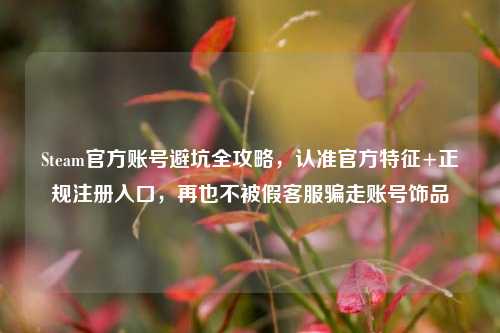 Steam官方账号避坑全攻略，认准官方特征+正规注册入口，再也不被假客服骗走账号饰品