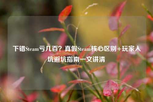 下错Steam亏几百？真假Steam核心区别+玩家入坑避坑指南一文讲清